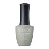 Гель для ногтей цветной NO.GF731 «BANDI GELIQUE GEL COLOR COAT» 14 ml - Beauty Business - Выбор профессионалов!