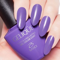 Гель для ногтей цветной NO.GF313 «BANDI GELIQUE GEL COLOR COAT» 14 ml - Beauty Business - Выбор профессионалов!